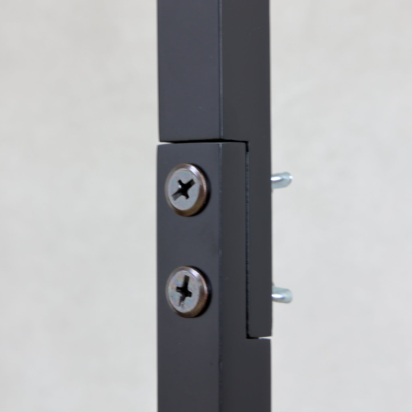 【限定販売】超特大サイズお名前旗 龍虎 (全高92cm)　スタンドセット
